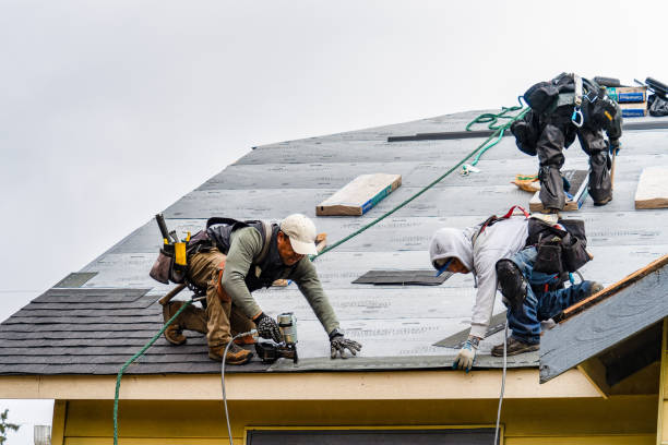 Professional Gutter Installation technician working in Princeton, FL